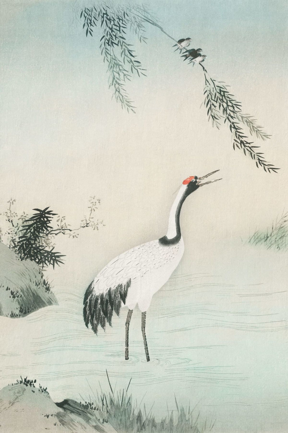 A Crane