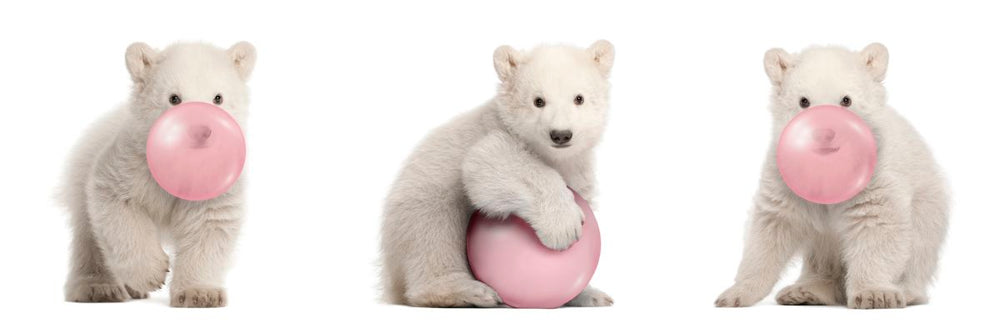 Bubble Gum Polar Bears
