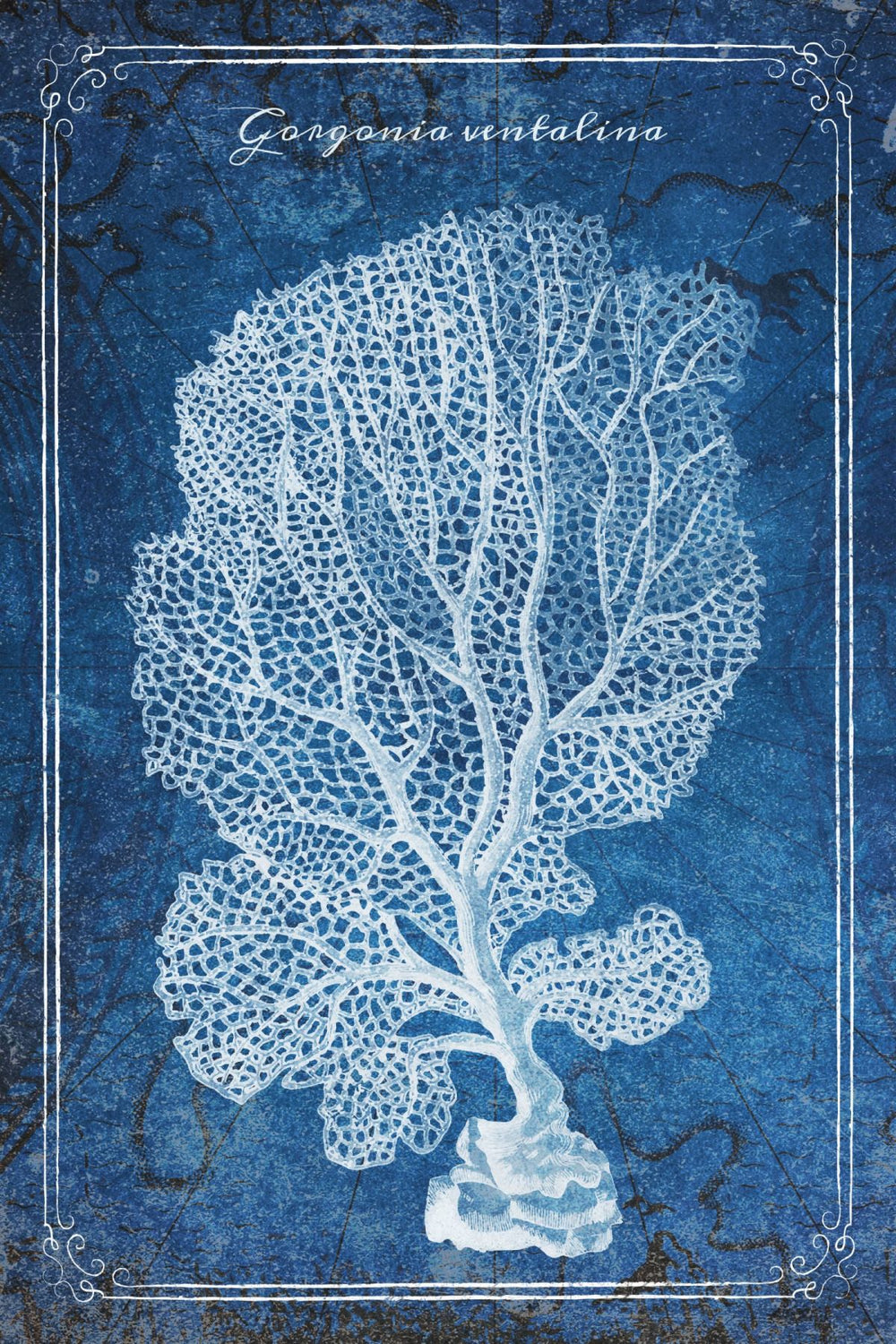 Blue Gorgonia Ventalina Wall Art