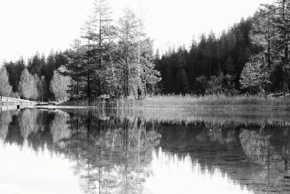 Calm Lake Reflection