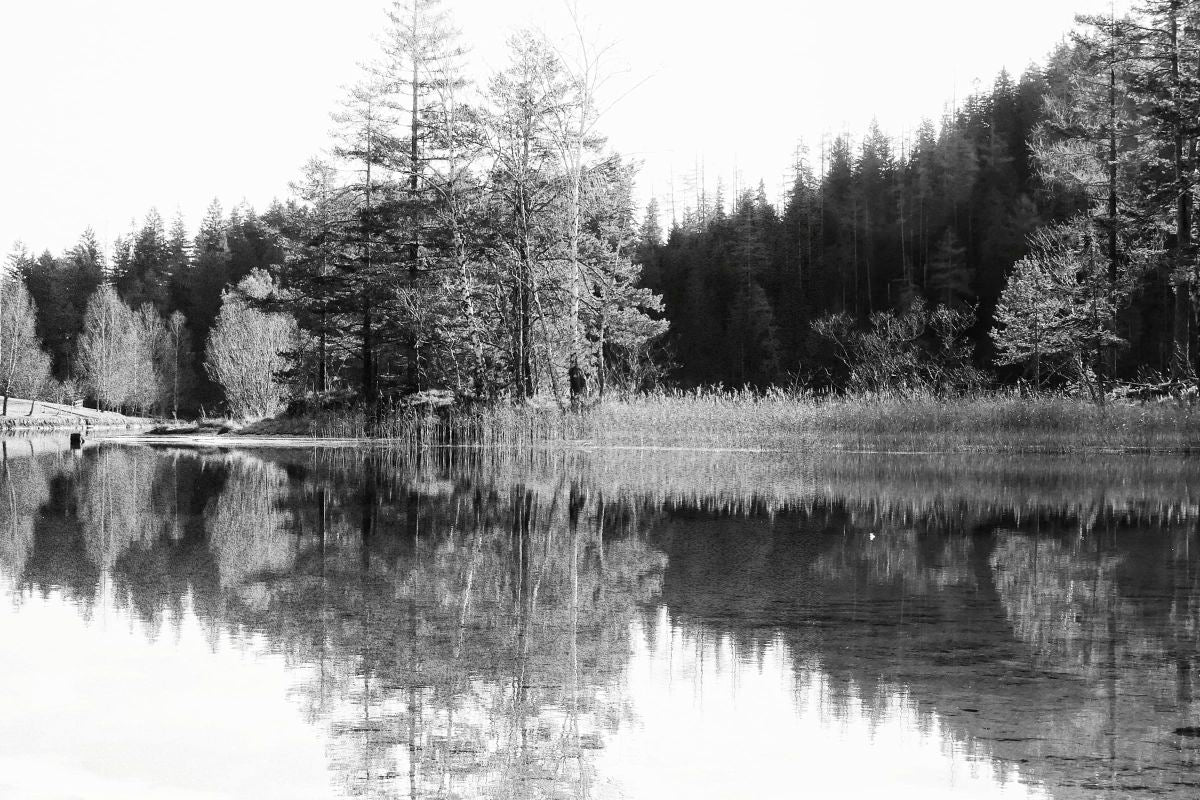 Calm Lake Reflection