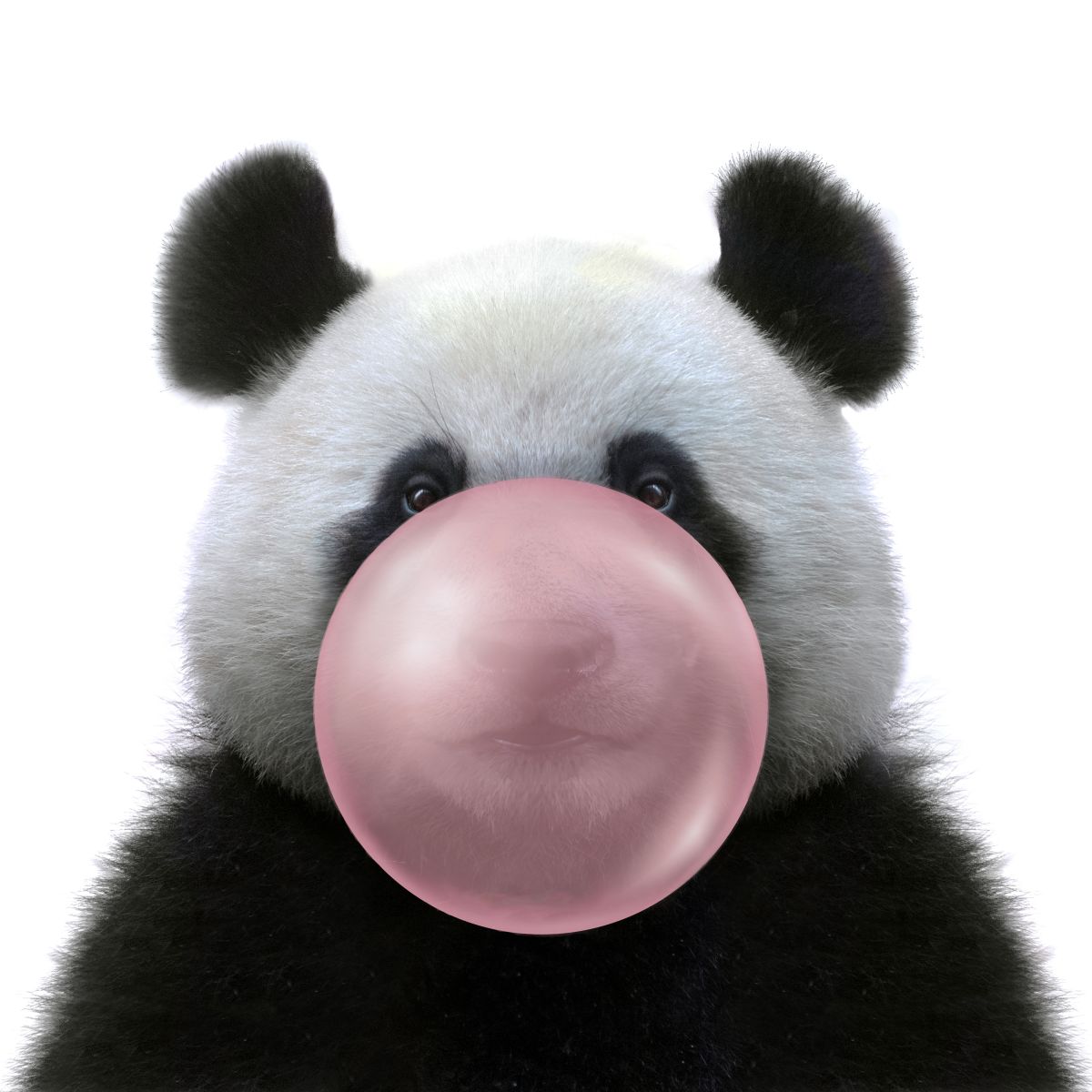 Panda Bubble Gum