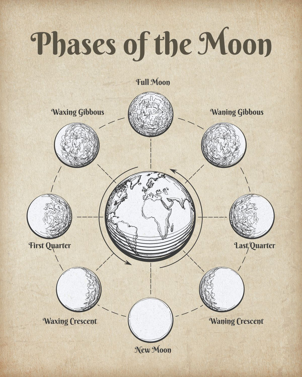 Vintage Phases Of The Moon