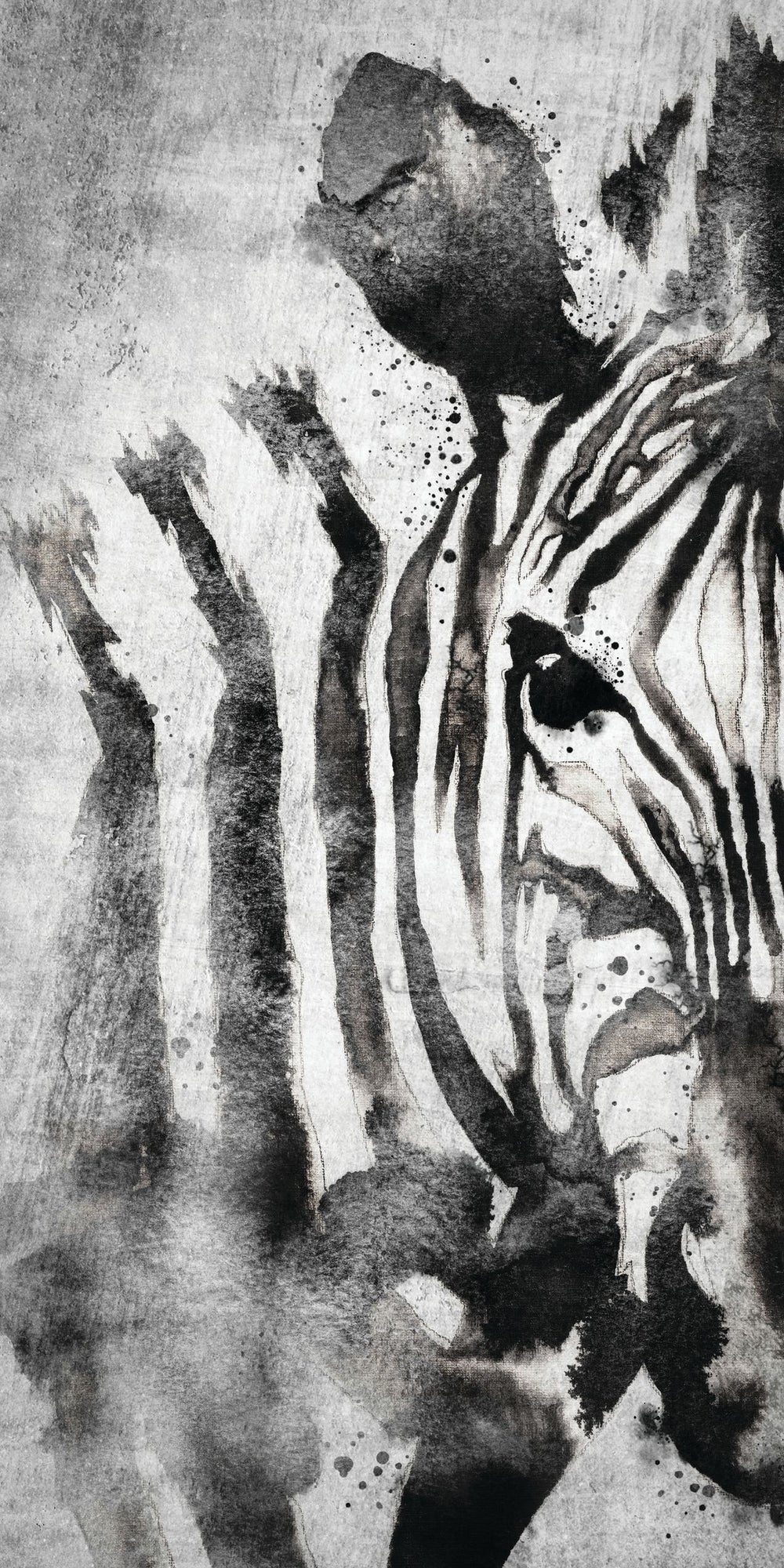 Zebra Face Black And White