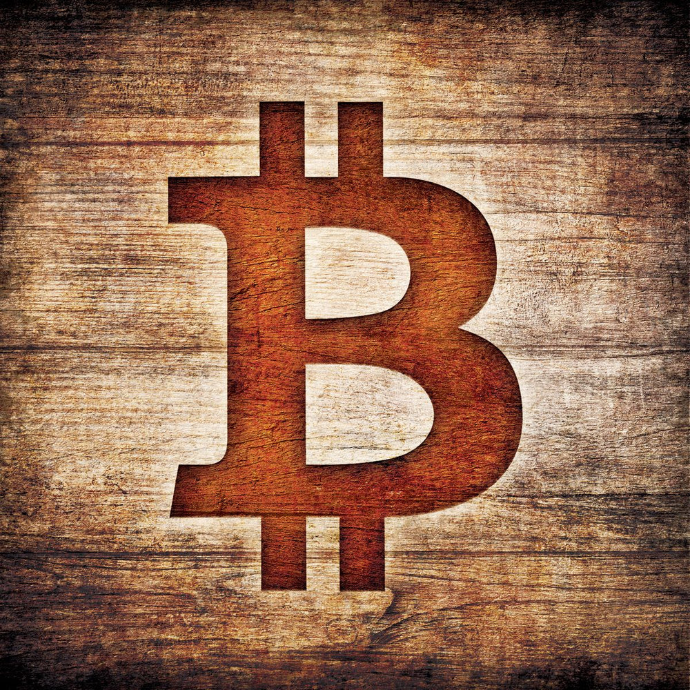 Bitcoin Logo II