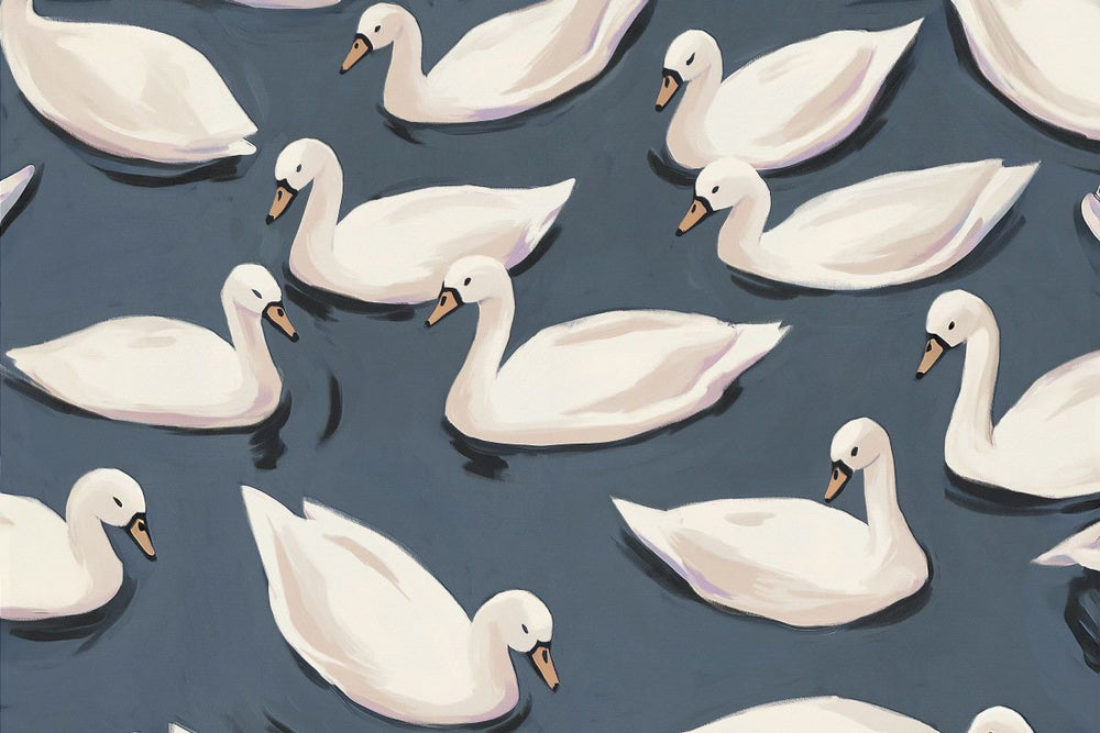 Graceful Swans