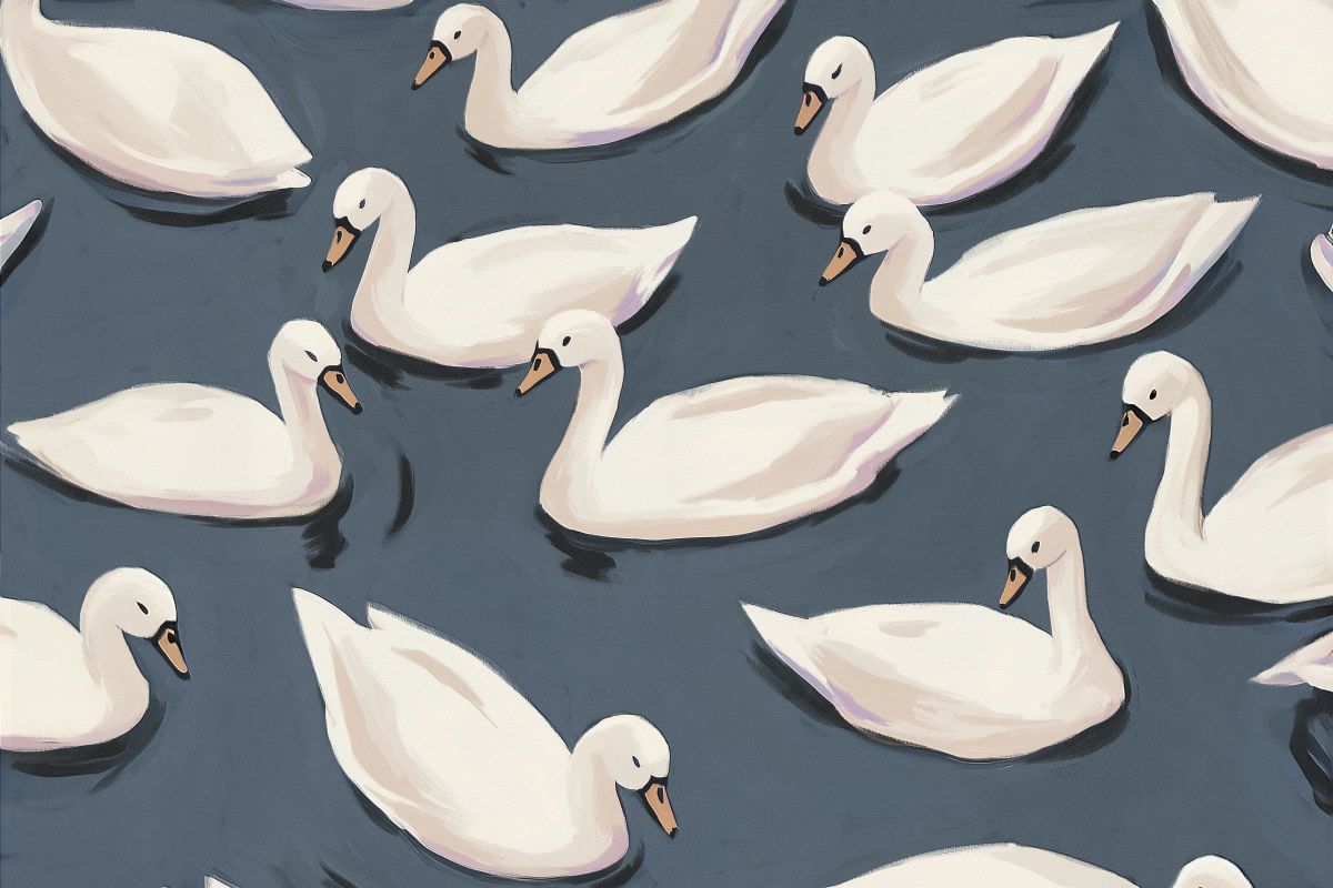 Graceful Swans