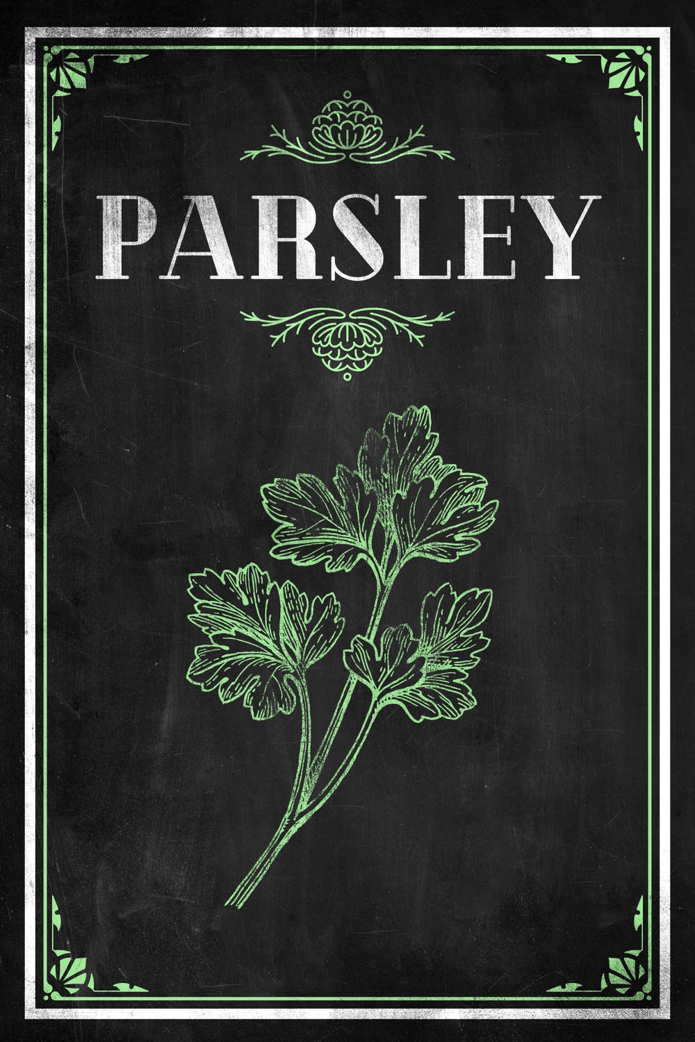 Fresh Parsley