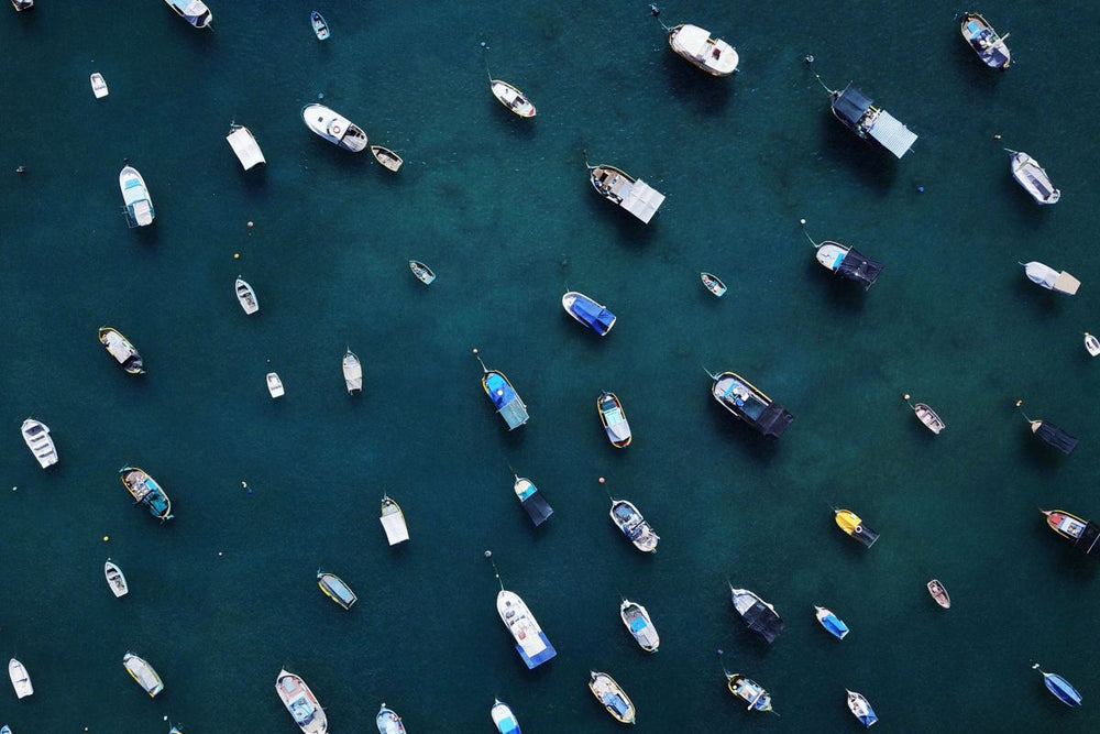 Marina Bird's-Eye View