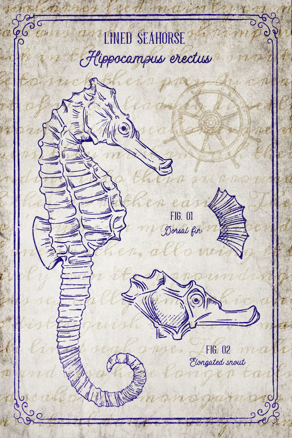 Vintage Lined Seahorse