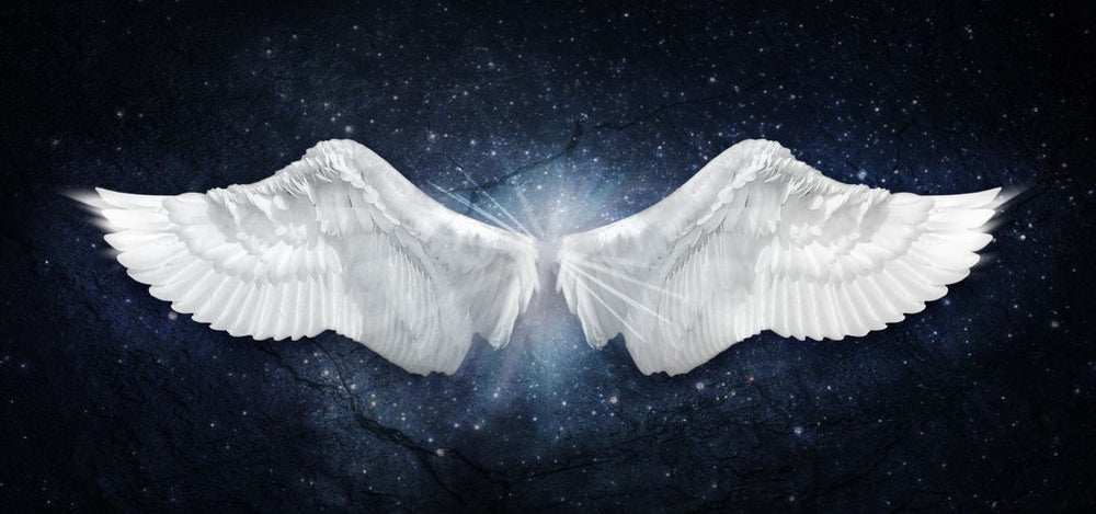 Ethereal White Angel Wings