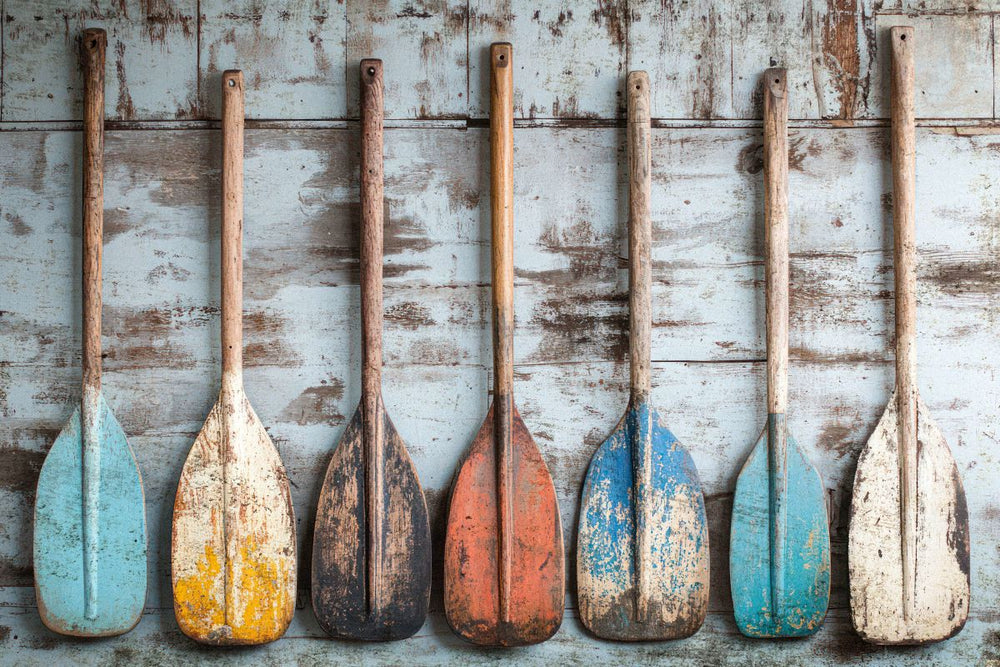 Paddle Collection