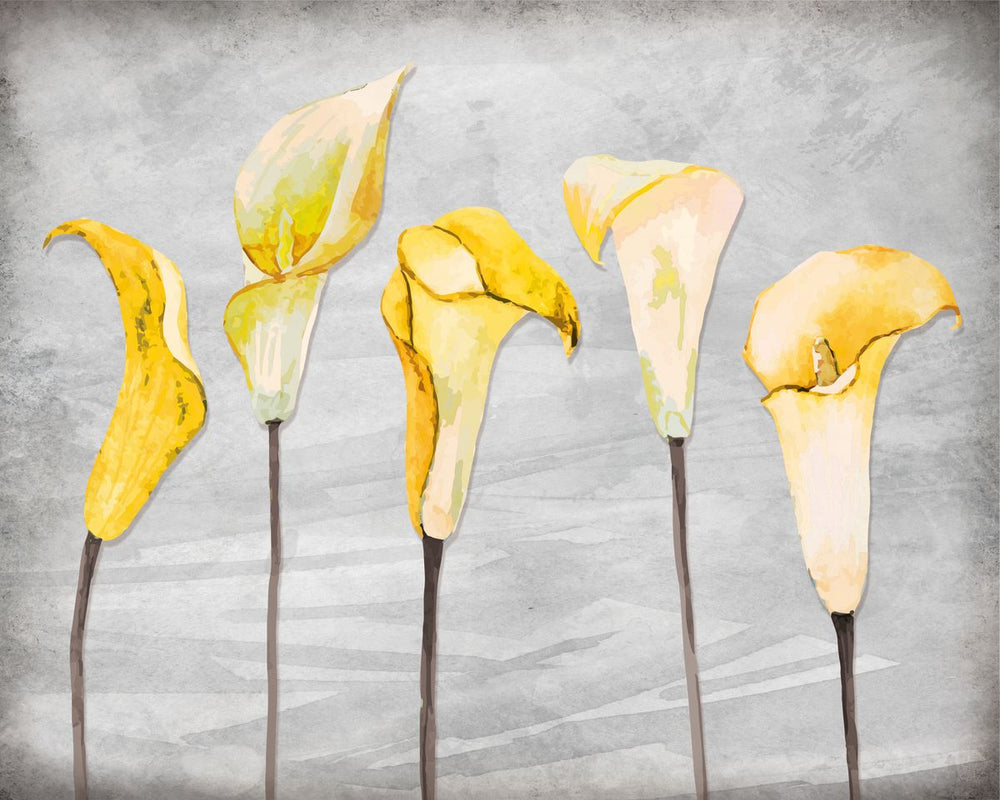 Yellow Calla Lily Flowers