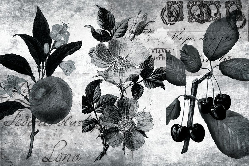 Flowers And Fruits On Postcard
