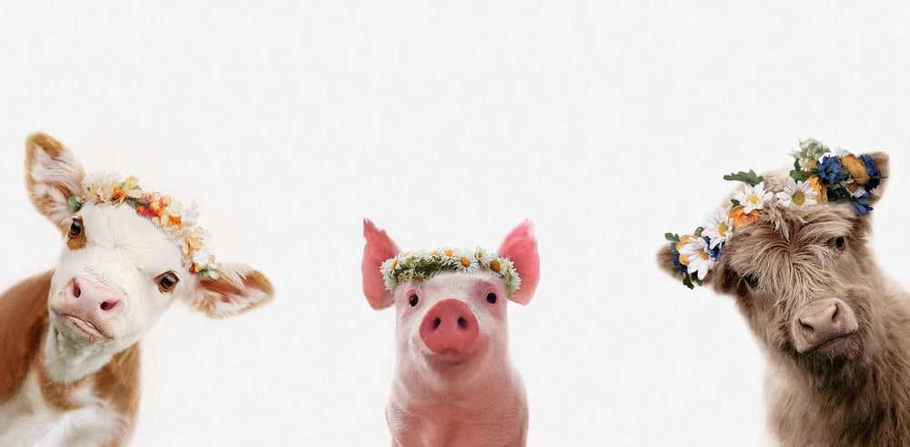 Flower Crown Farm Animals