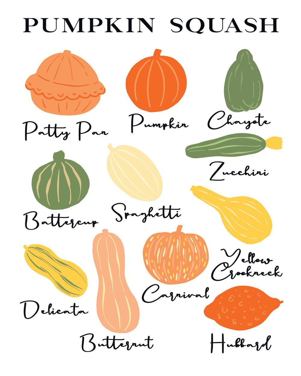 Pumpkin Squash Chart