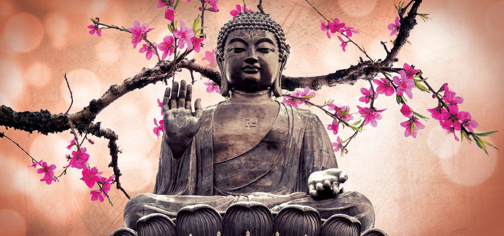 Sakura And The Great Buddha