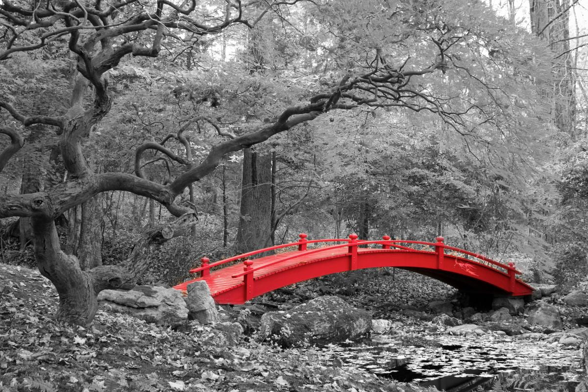 Pop Japanese Garden Bridge