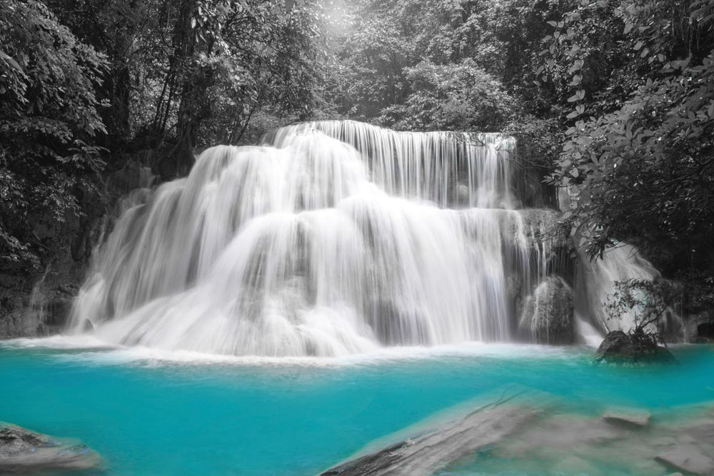 Pop Rainforest Waterfall