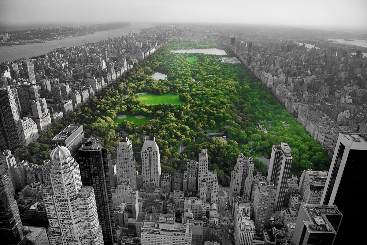 Central Park Pop