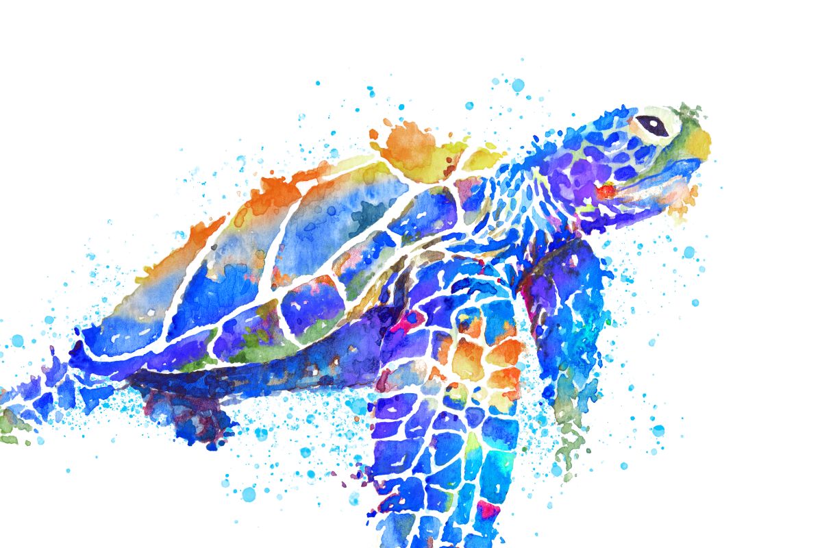 Sea Turtle Watercolor