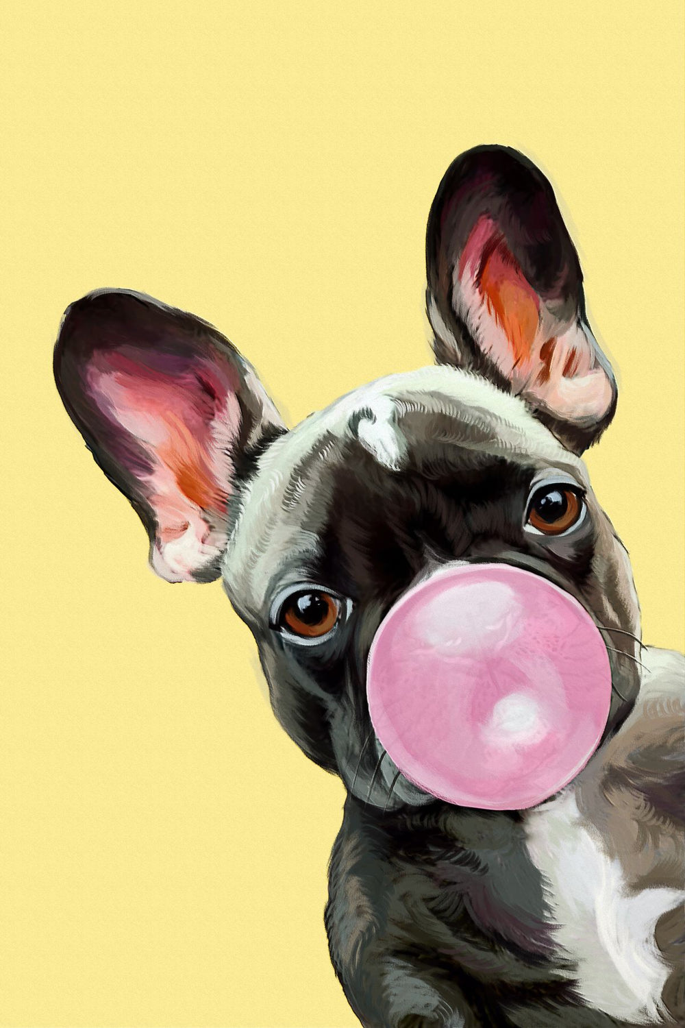 French Bulldog Bubble Gum
