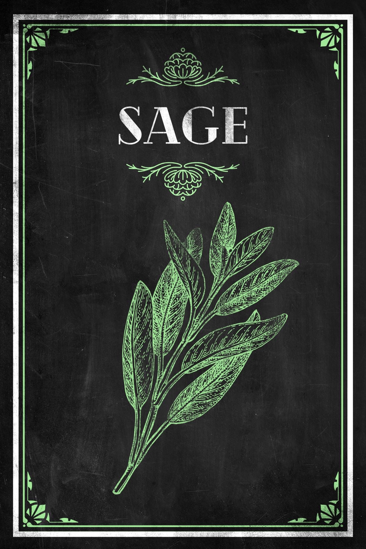 Chalkboard Sage Green