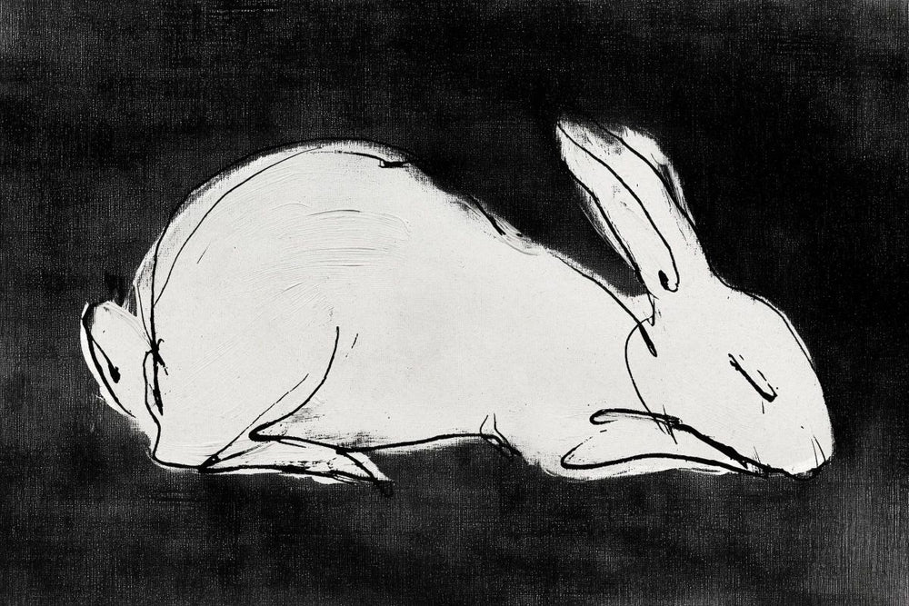 White Rabbit on Black
