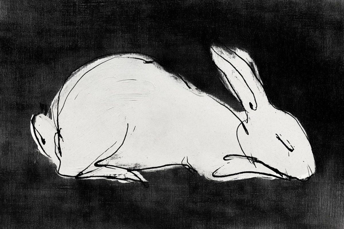 White Rabbit on Black