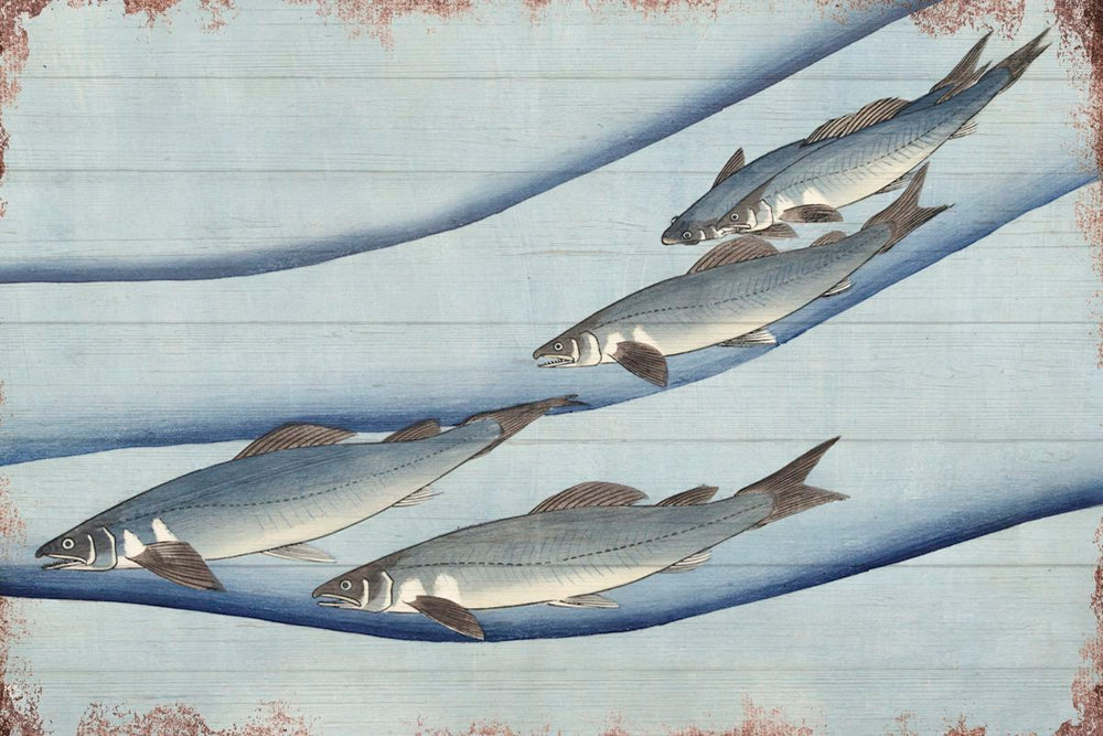 Fish Against Currents