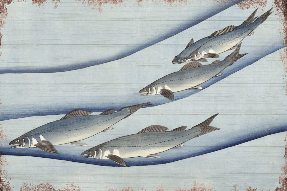 Fish Against Currents