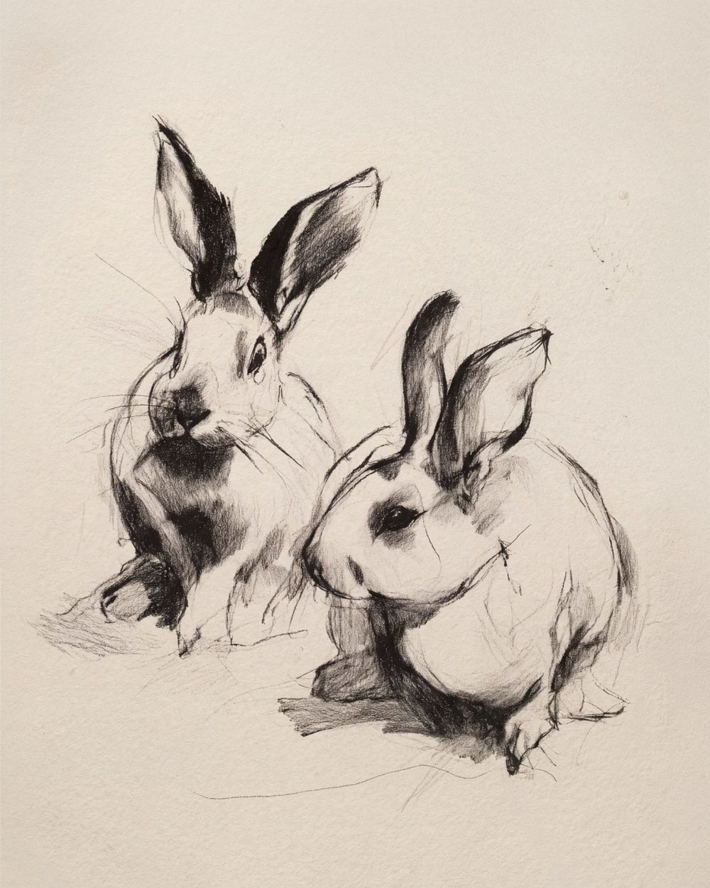Expressive Charcoal Rabbit Duo