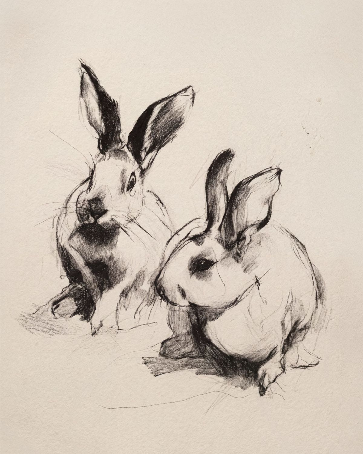 Expressive Charcoal Rabbit Duo