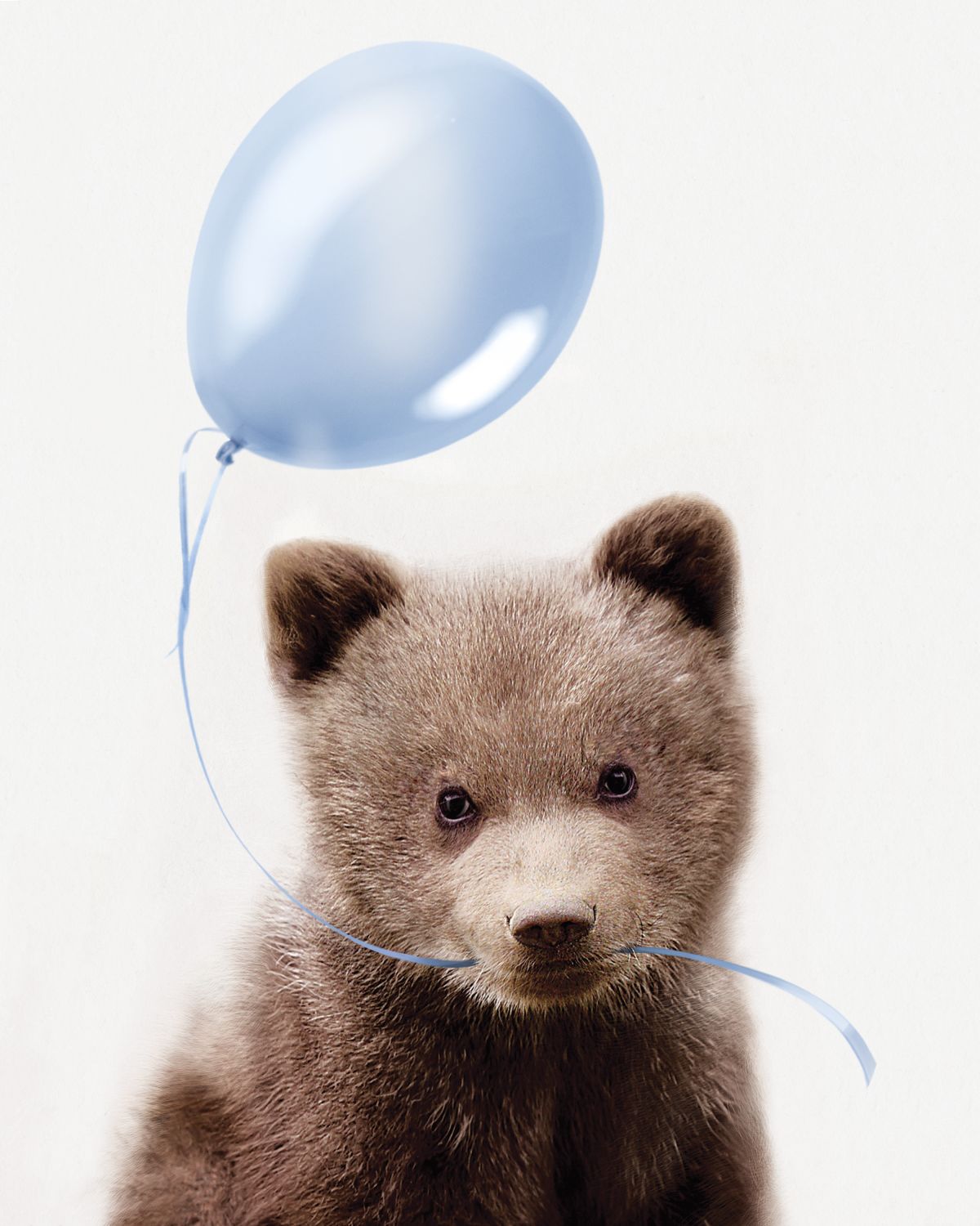 Bear And Blue Balloon