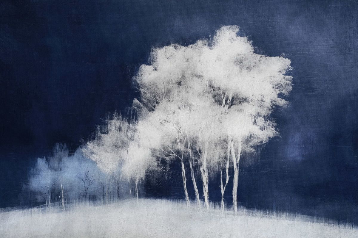 White Trees At Night I