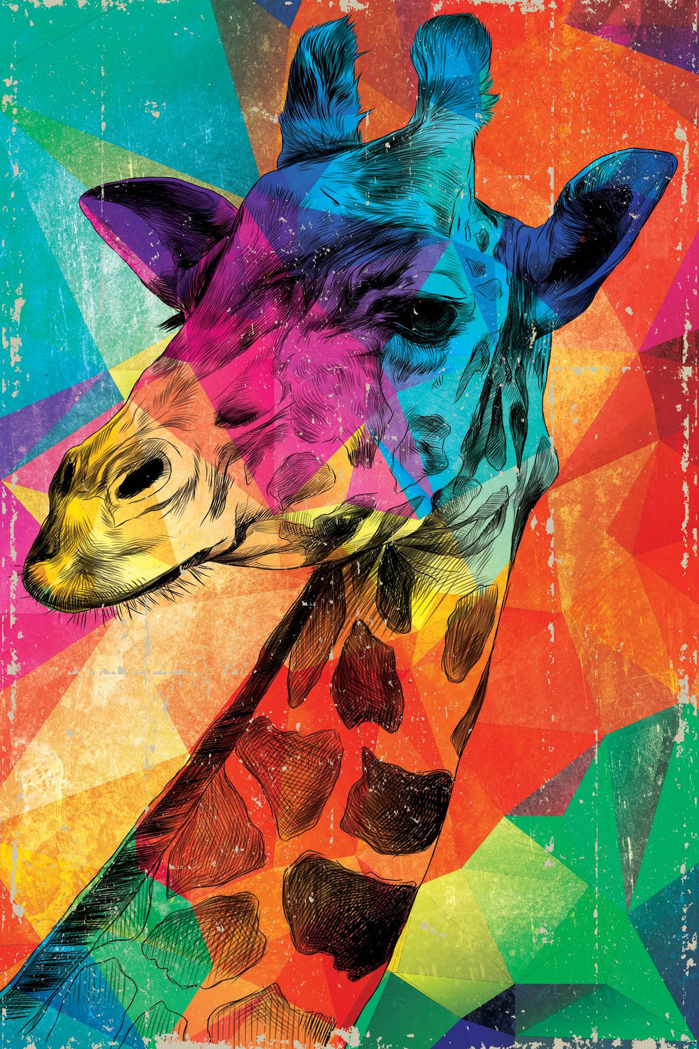 Giraffe On Geometric Colors