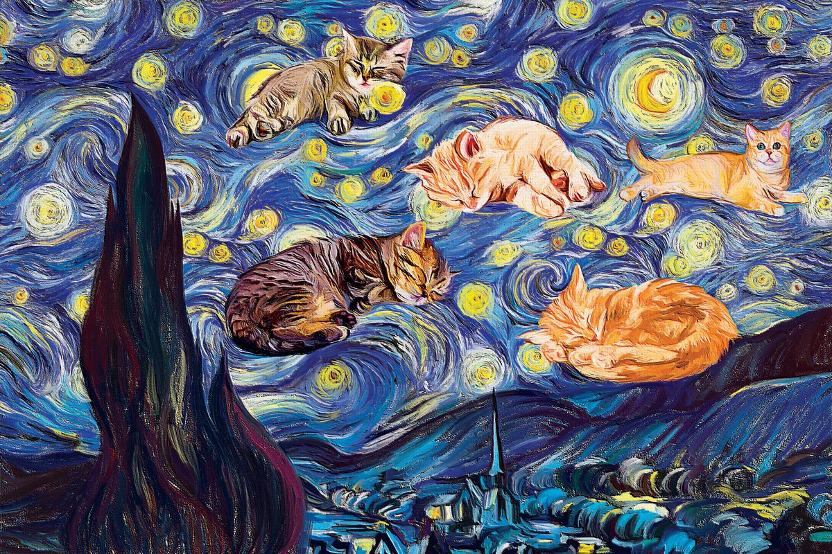 Sleeping Kittens Starry Night