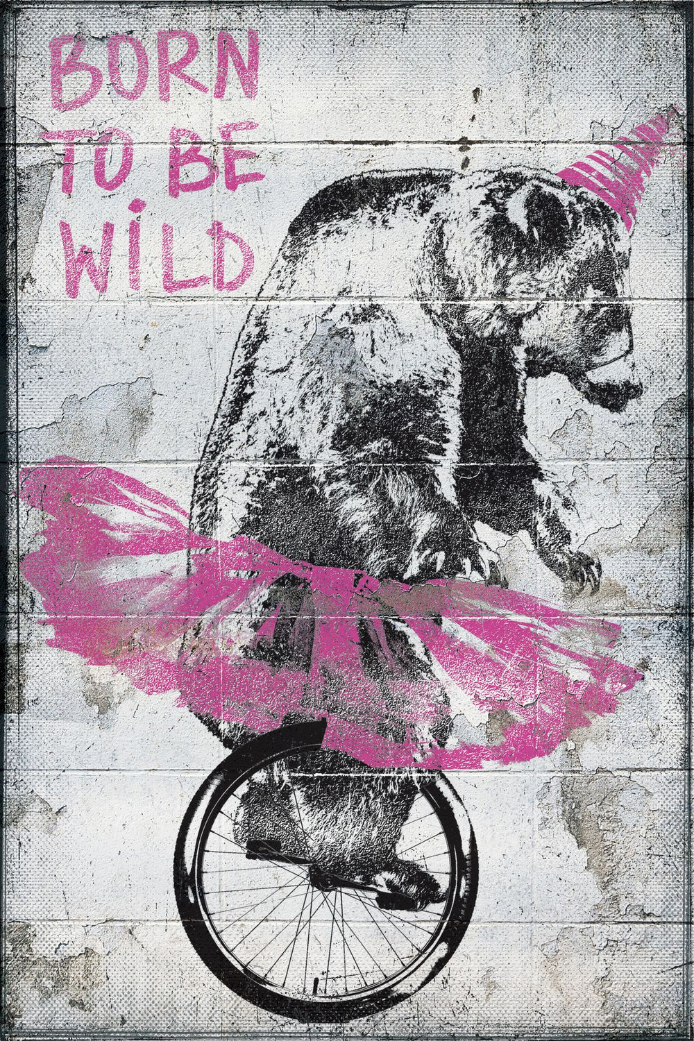 Born To Be Wild Bear