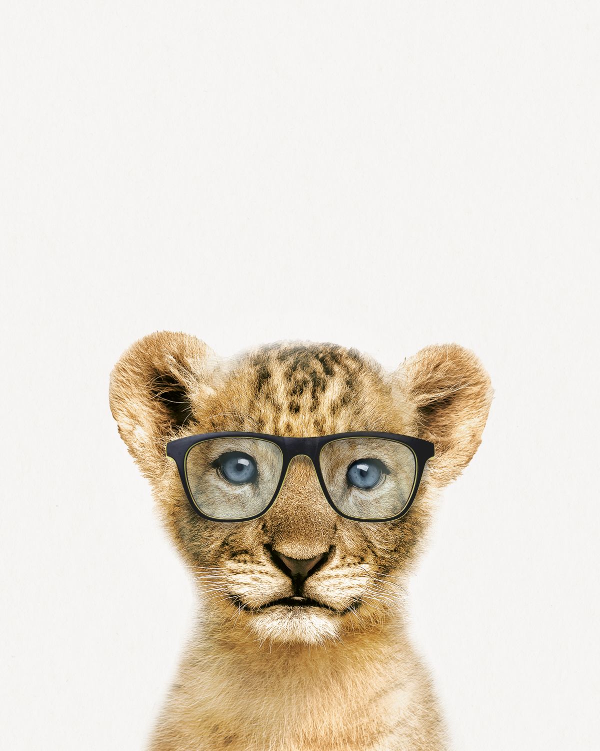 Four-Eyed Lion