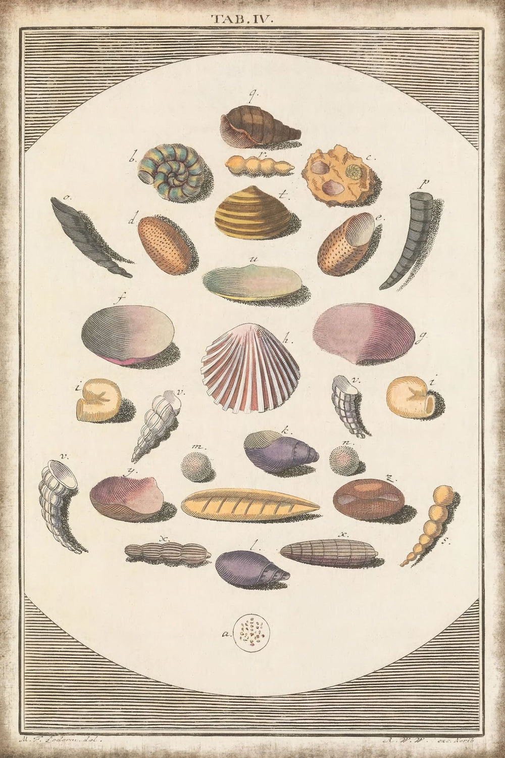 Vintage Seaside Treasures