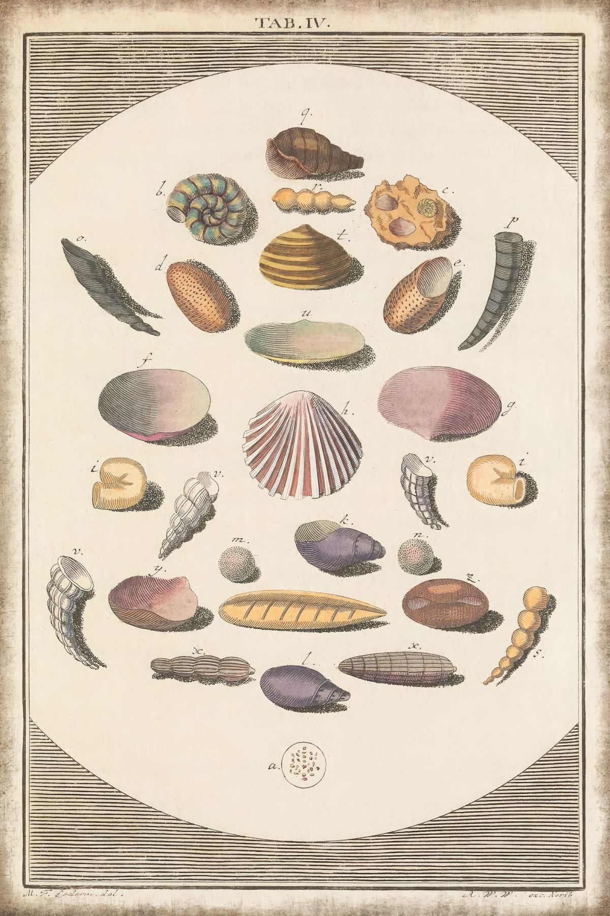Vintage Seaside Treasures