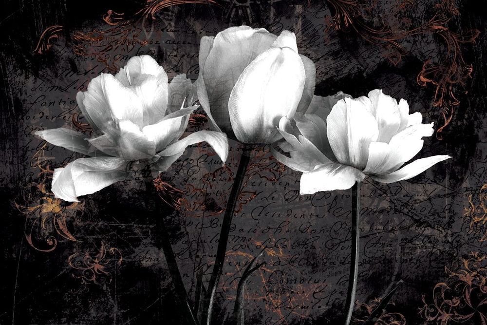 Tulip Flowers BW