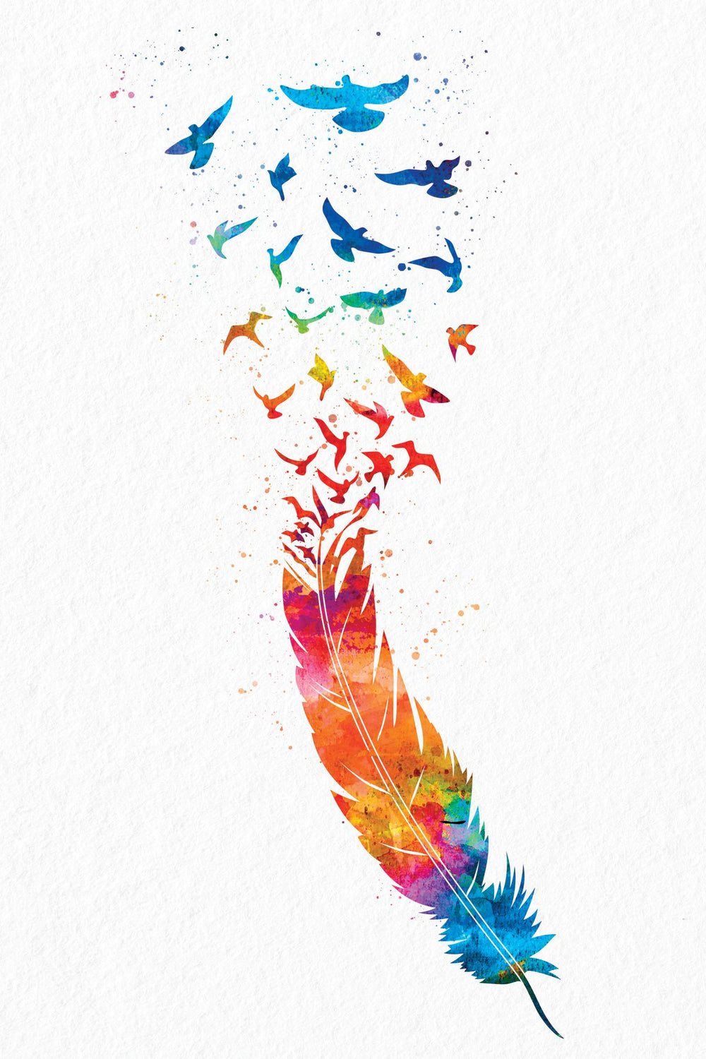 Rainbow Flying Birds Feather