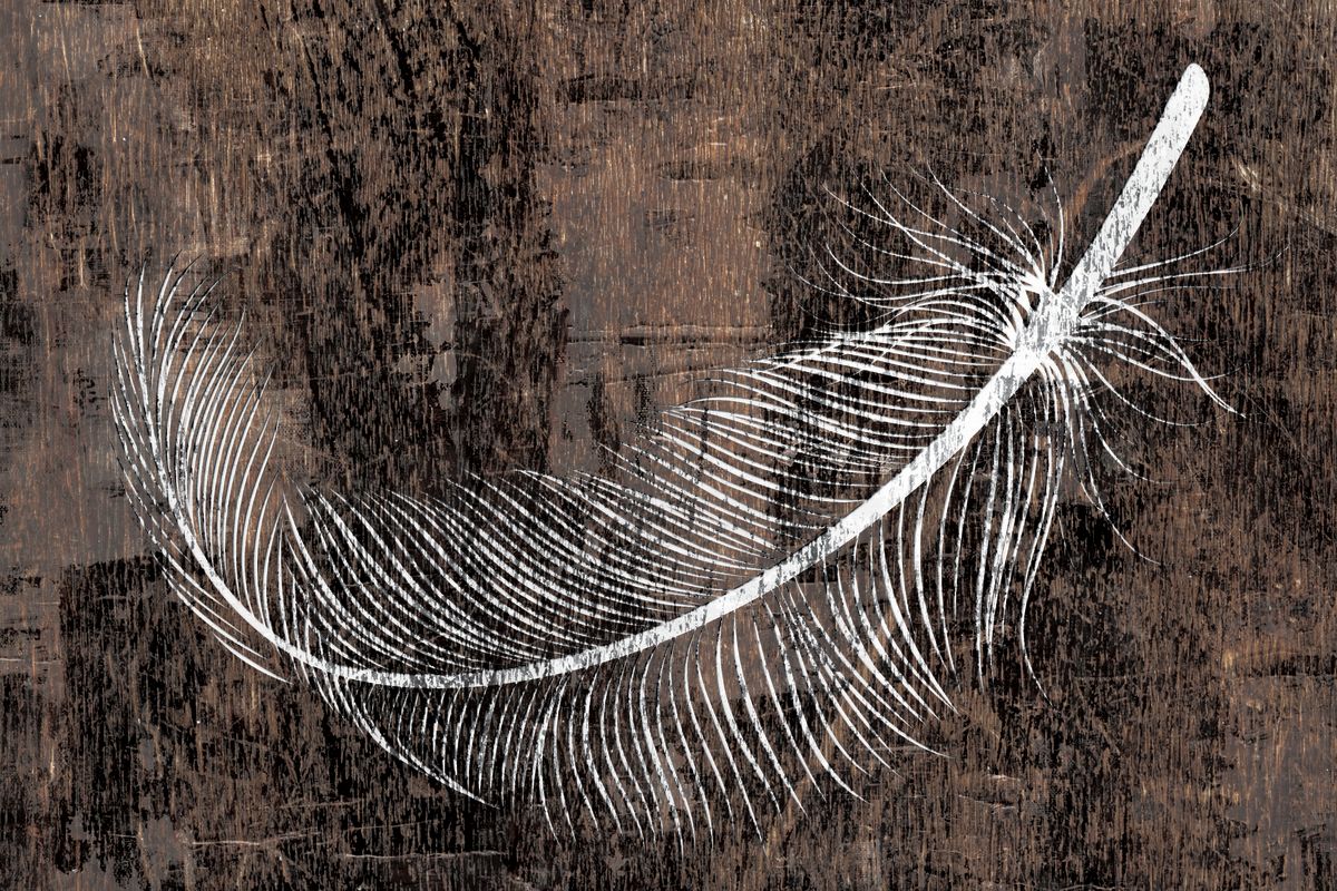 White Feather Outline