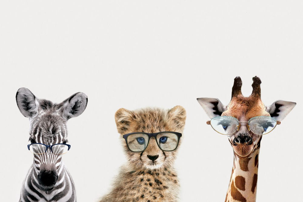Baby Animals With Glasses II