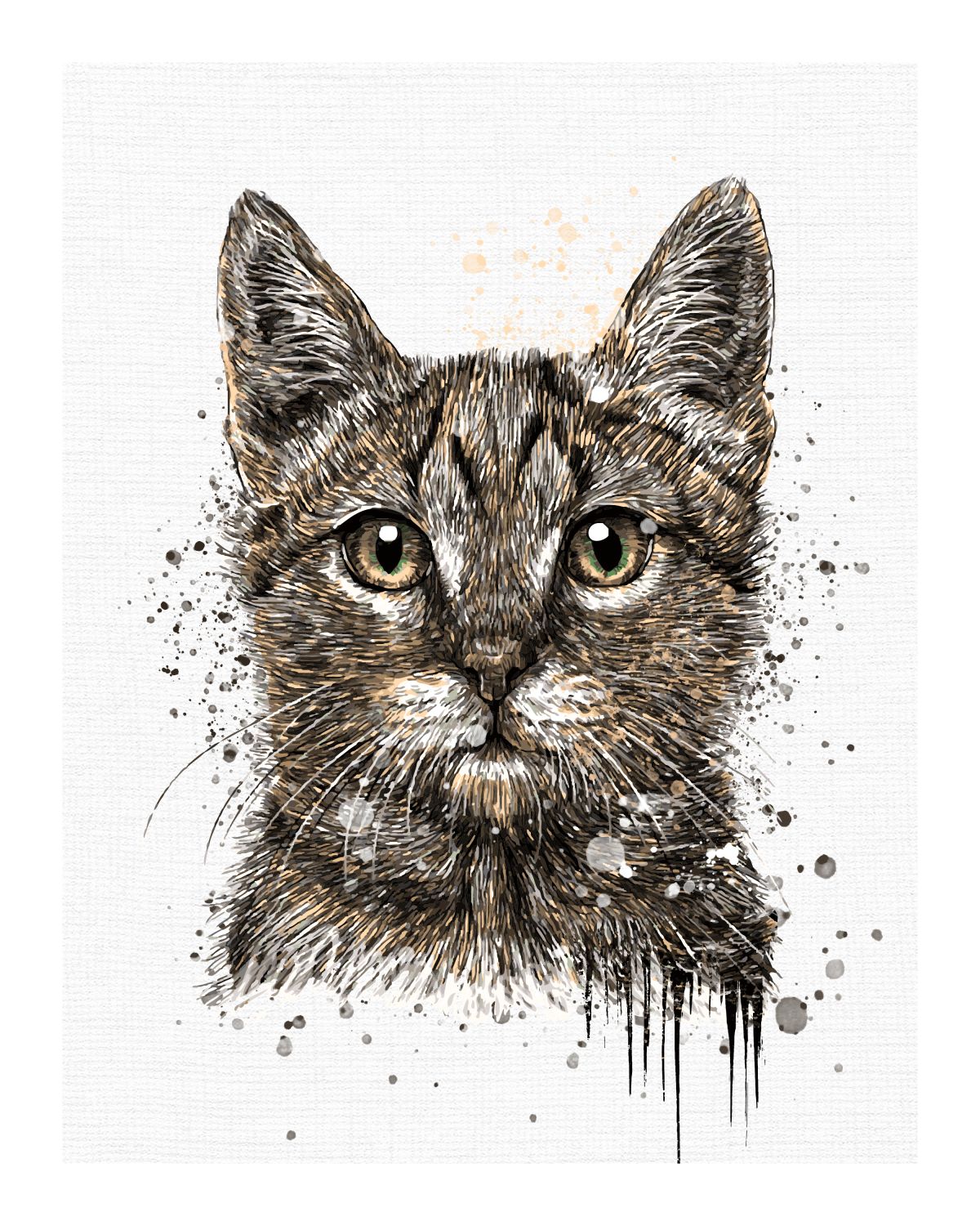 Cat – Pineapple Licensing
