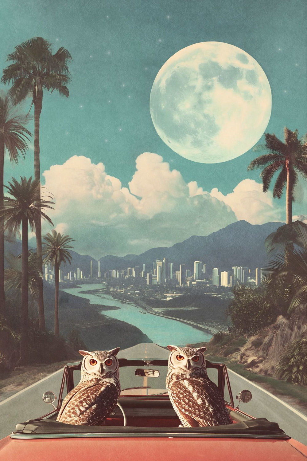 City Owls