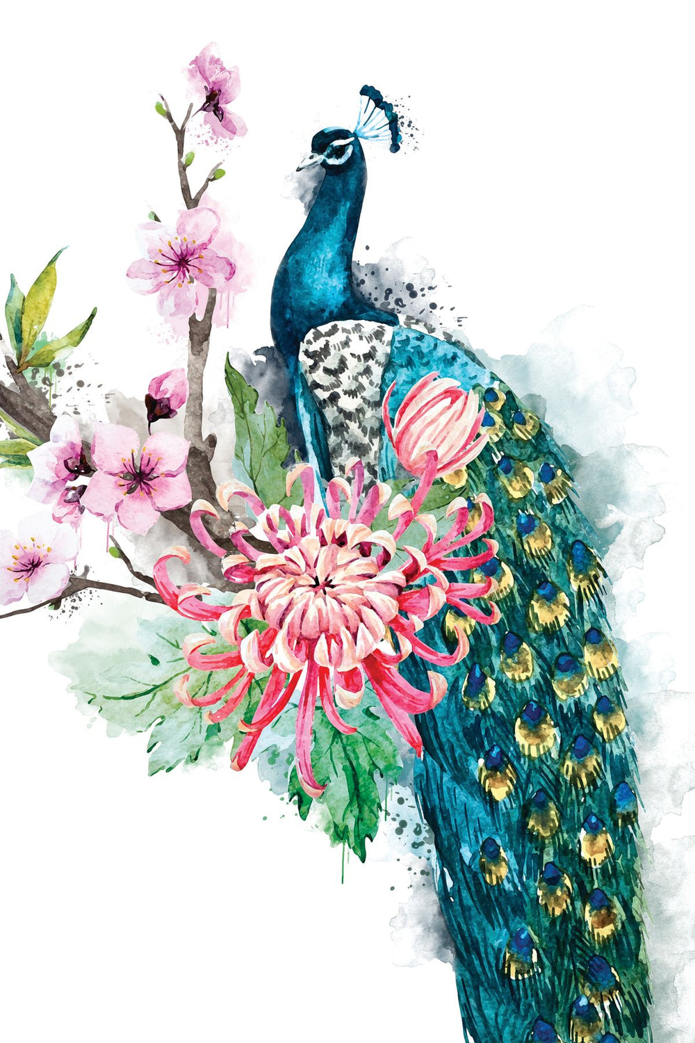 Floral Peacock Splash