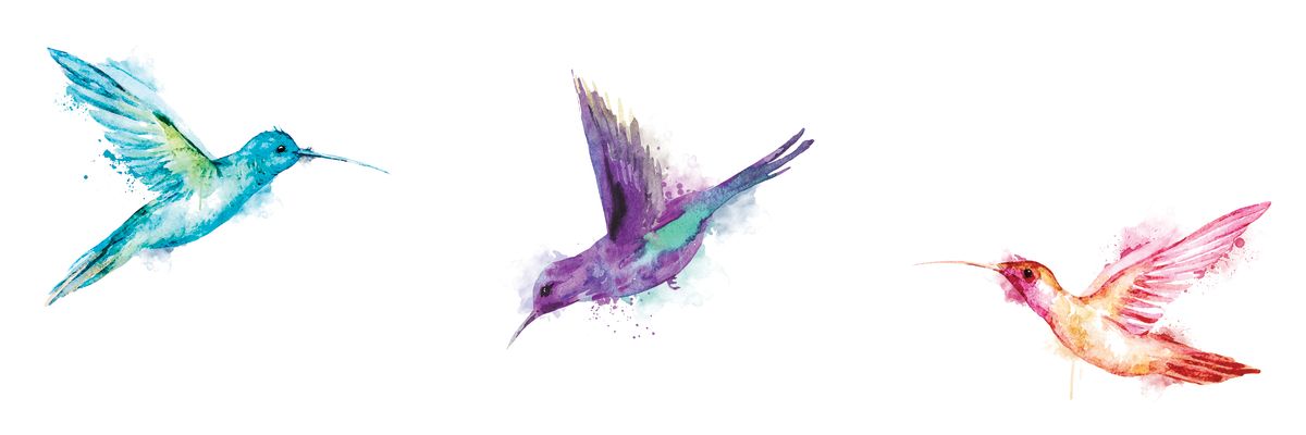 Flying Hummingbirds Watercolor