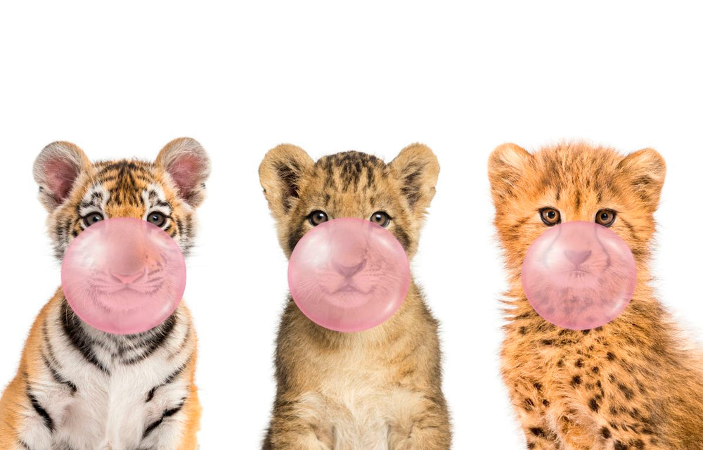 Wild Cubs Bubble Gum
